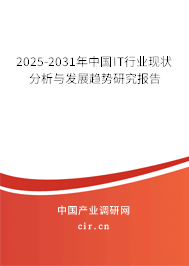 2025-2031年中國(guó)IT行業(yè)現(xiàn)狀分析與發(fā)展趨勢(shì)研究報(bào)告