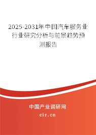 2025-2031年中國(guó)汽車服務(wù)業(yè)行業(yè)研究分析與前景趨勢(shì)預(yù)測(cè)報(bào)告