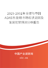 2025-2031年全球與中國ADAS熱管理市場現(xiàn)狀調(diào)研及發(fā)展前景預(yù)測分析報(bào)告