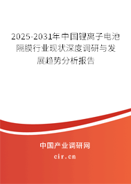 2025-2031年中國鋰離子電池隔膜行業(yè)現(xiàn)狀深度調(diào)研與發(fā)展趨勢(shì)分析報(bào)告