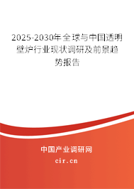 2025-2030年全球與中國透明壁爐行業(yè)現(xiàn)狀調(diào)研及前景趨勢報告