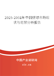 2025-2031年中國(guó)壁球市場(chǎng)現(xiàn)狀與前景分析報(bào)告