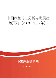 中國底墊行業(yè)分析與發(fā)展趨勢預測（2026-2032年）