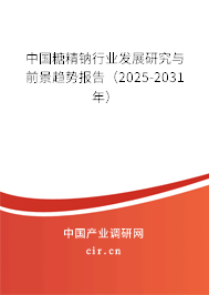 中國糖精鈉行業(yè)發(fā)展研究與前景趨勢報(bào)告（2025-2031年）