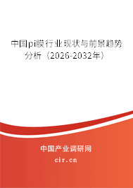 中國(guó)pi膜行業(yè)現(xiàn)狀與前景趨勢(shì)分析（2026-2032年）
