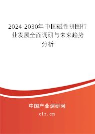 2024-2030年中國(guó)磁性拼圖行業(yè)發(fā)展全面調(diào)研與未來趨勢(shì)分析