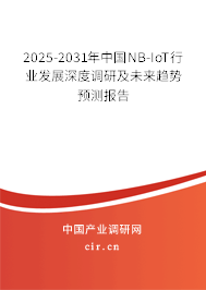 2025-2031年中國NB-IoT行業(yè)發(fā)展深度調(diào)研及未來趨勢預(yù)測報(bào)告