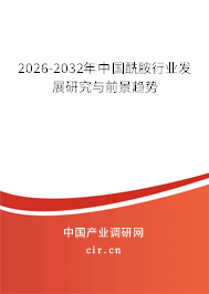 2026-2032年中國酰胺行業(yè)發(fā)展研究與前景趨勢