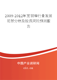 2009-2012年寬鋼帶行業(yè)發(fā)展前景分析及投資風(fēng)險(xiǎn)預(yù)測報(bào)告
