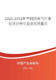 2026-2032年中國混合氣行業(yè)現(xiàn)狀分析與發(fā)展前景報告