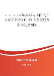 2025-2031年全球與中國(guó)汽車發(fā)動(dòng)機(jī)控制ECU行業(yè)發(fā)展研及市場(chǎng)前景預(yù)測(cè)