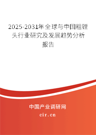 2025-2031年全球與中國粗鏜頭行業(yè)研究及發(fā)展趨勢分析報(bào)告