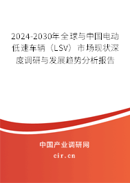 2024-2030年全球與中國電動低速車輛（LSV）市場現(xiàn)狀深度調(diào)研與發(fā)展趨勢分析報告