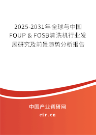 2025-2031年全球與中國FOUP & FOSB清洗機行業(yè)發(fā)展研究及前景趨勢分析報告