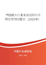 中國磨頭行業(yè)發(fā)展調(diào)研與市場前景預(yù)測報告（2026年）