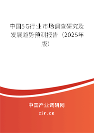 中國(guó)5G行業(yè)市場(chǎng)調(diào)查研究及發(fā)展趨勢(shì)預(yù)測(cè)報(bào)告（2025年版）