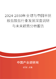 2024-2030年全球與中國半胱胺鹽酸鹽行業(yè)發(fā)展深度調(diào)研與未來趨勢分析報告