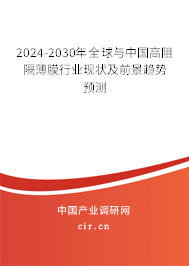 2024-2030年全球與中國高阻隔薄膜行業(yè)現(xiàn)狀及前景趨勢預(yù)測