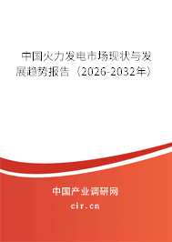 中國火力發(fā)電市場現(xiàn)狀與發(fā)展趨勢報(bào)告（2026-2032年）
