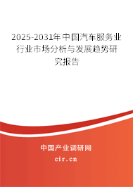 2025-2031年中國汽車服務(wù)業(yè)行業(yè)市場分析與發(fā)展趨勢研究報告