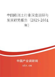 中國膨潤土行業(yè)深度調(diào)研與發(fā)展趨勢報(bào)告（2025-2031年）