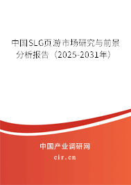 中國(guó)SLG頁(yè)游市場(chǎng)研究與前景分析報(bào)告（2025-2031年）