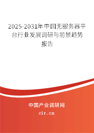 2025-2031年中國無服務(wù)器平臺行業(yè)發(fā)展調(diào)研與前景趨勢報告