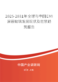 2025-2031年全球與中國(guó)EMI屏蔽玻璃發(fā)展現(xiàn)狀及前景趨勢(shì)報(bào)告