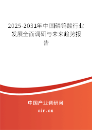 2025-2031年中國磷鎢酸行業(yè)發(fā)展全面調(diào)研與未來趨勢(shì)報(bào)告