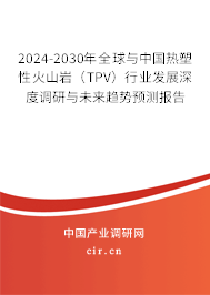 2024-2030年全球與中國熱塑性火山巖（TPV）行業(yè)發(fā)展深度調(diào)研與未來趨勢預測報告