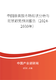 中國藤黃酸市場現(xiàn)狀分析與前景趨勢預(yù)測報告（2024-2030年）