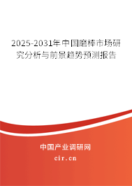 2025-2031年中國磨棒市場研究分析與前景趨勢預(yù)測報告