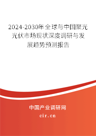 2024-2030年全球與中國聚光光伏市場現(xiàn)狀深度調(diào)研與發(fā)展趨勢預(yù)測報告