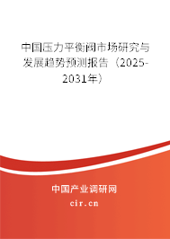 中國壓力平衡閥市場研究與發(fā)展趨勢預(yù)測報(bào)告（2025-2031年）