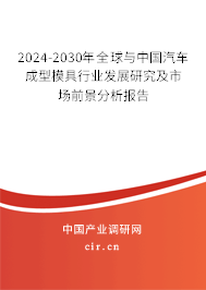 2024-2030年全球與中國汽車成型模具行業(yè)發(fā)展研究及市場前景分析報告