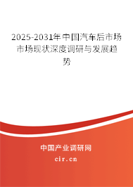 2025-2031年中國汽車后市場市場現(xiàn)狀深度調(diào)研與發(fā)展趨勢