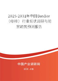 2025-2031年中國(guó)BusBar（母排）行業(yè)現(xiàn)狀調(diào)研與前景趨勢(shì)預(yù)測(cè)報(bào)告