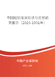 中國粗鉛發(fā)展現(xiàn)狀與前景趨勢報告（2025-2031年）