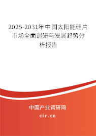 2025-2031年中國太陽能硅片市場全面調(diào)研與發(fā)展趨勢分析報(bào)告