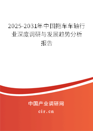 2025-2031年中國拖車車軸行業(yè)深度調(diào)研與發(fā)展趨勢分析報告
