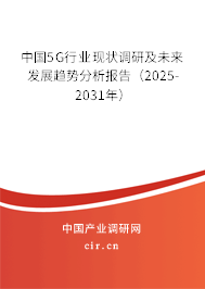 中國(guó)5G行業(yè)現(xiàn)狀調(diào)研及未來發(fā)展趨勢(shì)分析報(bào)告（2025-2031年）