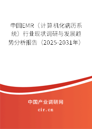 中國EMR（計算機化病歷系統(tǒng)）行業(yè)現(xiàn)狀調(diào)研與發(fā)展趨勢分析報告（2025-2031年）