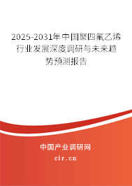2025-2031年中國聚四氟乙烯行業(yè)發(fā)展深度調(diào)研與未來趨勢(shì)預(yù)測(cè)報(bào)告