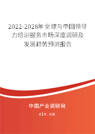2022-2028年全球與中國領(lǐng)導(dǎo)力培訓(xùn)服務(wù)市場深度調(diào)研及發(fā)展趨勢預(yù)測報告