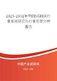 2025-2031年中國5G網(wǎng)關(guān)行業(yè)發(fā)展研究與行業(yè)前景分析報(bào)告