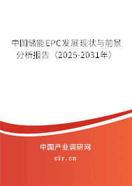 中國儲能EPC發(fā)展現(xiàn)狀與前景分析報告（2025-2031年）