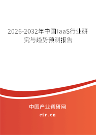 2026-2032年中國(guó)IaaS行業(yè)研究與趨勢(shì)預(yù)測(cè)報(bào)告