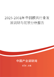 2025-2031年中國模具行業(yè)發(fā)展調(diào)研與前景分析報告