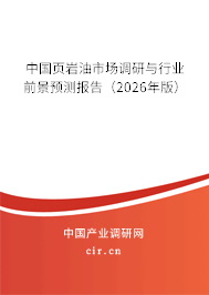 中國頁巖油市場調(diào)研與行業(yè)前景預(yù)測報告（2026年版）