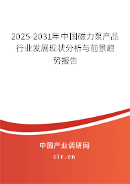2025-2031年中國磁力泵產(chǎn)品行業(yè)發(fā)展現(xiàn)狀分析與前景趨勢報告